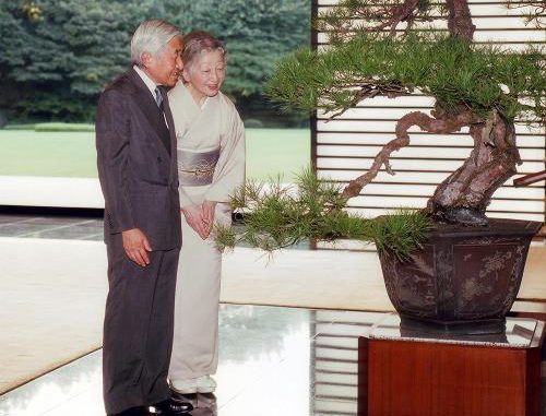 Japan's Emperor Akihito and Empress Michiko look at a miniature potted pine tree at the Imperial Palace in Tokyo