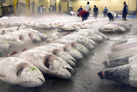 Tsukiji