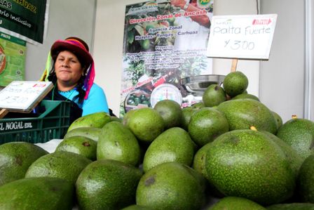 Palta