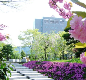 Universidad de Tohoku