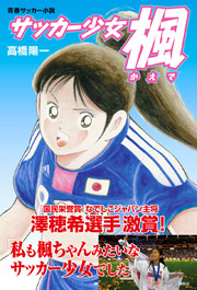 Manga de Homare Sawa