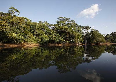 Parque Yasuni