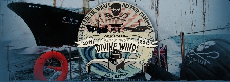 Sea Shepherd