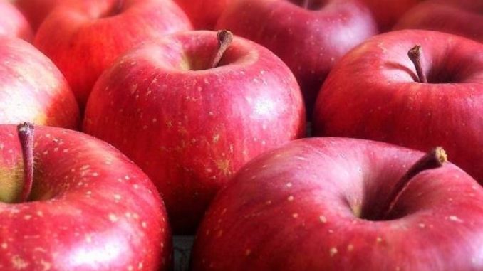 Manzanas japonesas