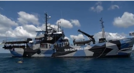Sea Shepherd