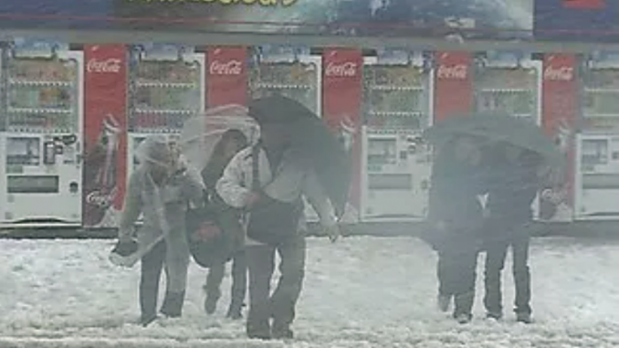 Nevada en Tokio en enero de 2013