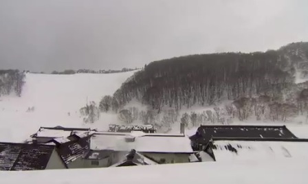 Nieve