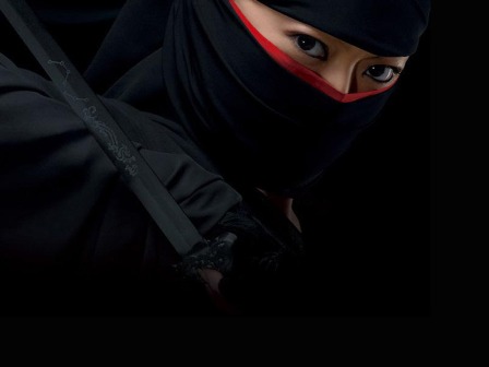 Ninja