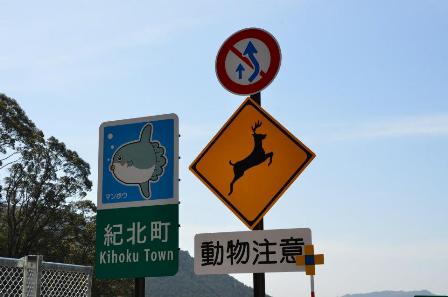Kihoku