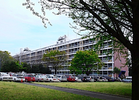Instituto Riken