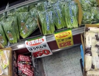 Alimentos