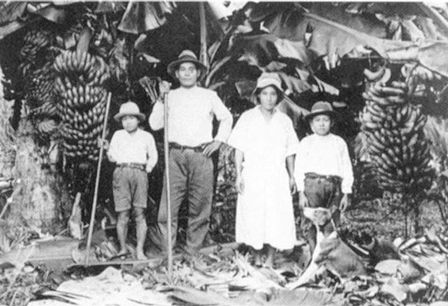 Inmigrantes japoneses