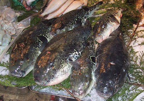 Mercado de Tsukiji