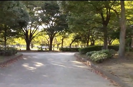 Parque en Tokio