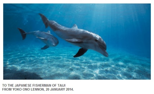 Caza de delfines