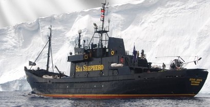 Sea Shepherd