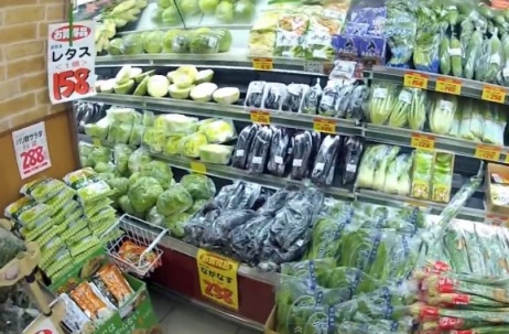 Alimentos