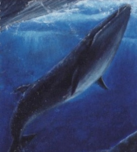 Ballena
