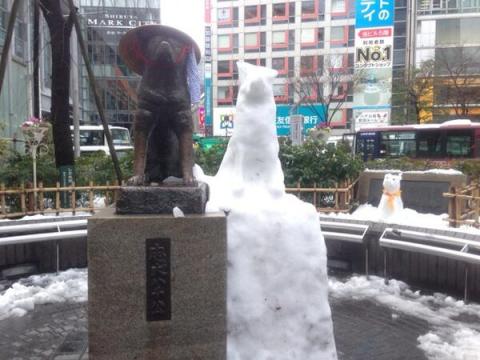 Hachiko
