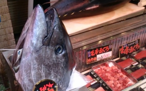 Pescado