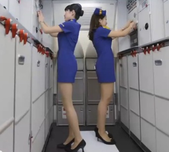 Skymark Airlines