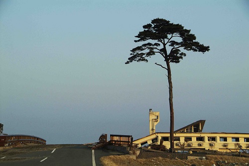 Takata Matsubara, pino sobreviviente