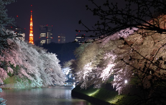 Chidorigafuchi en Chiyoda