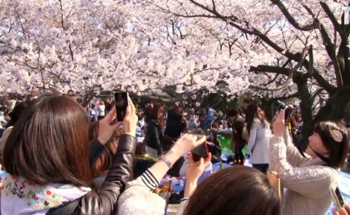 Hanami 2