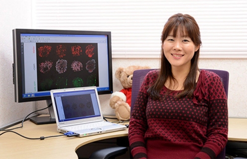 Haruko Obokata