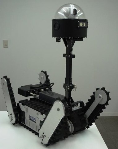 Sakuraichigo (foto Instituto Tecnológico de Chiba)