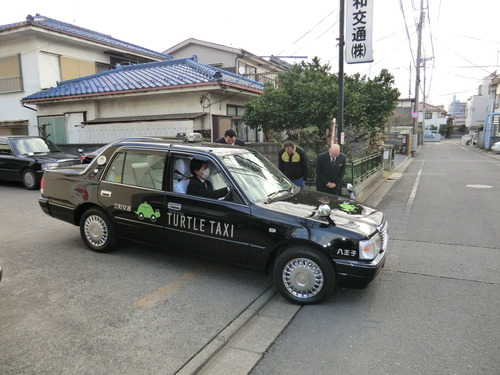Taxi tortuga