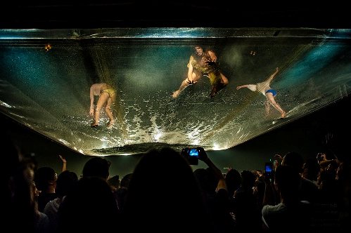 Fuerza Bruta