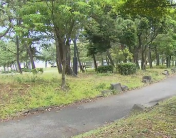 Parque