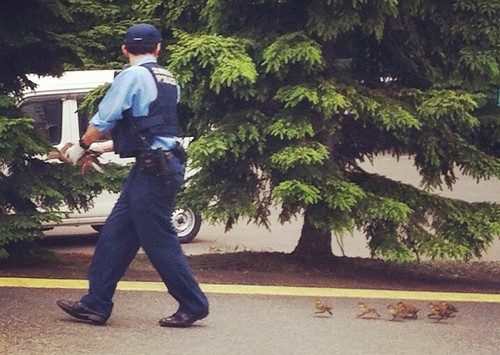 Policía