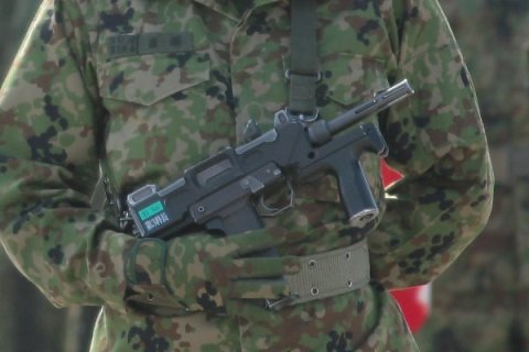 Fuerzas de Autodefensa
