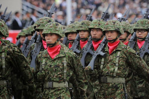 Fuerzas de Autodefensa