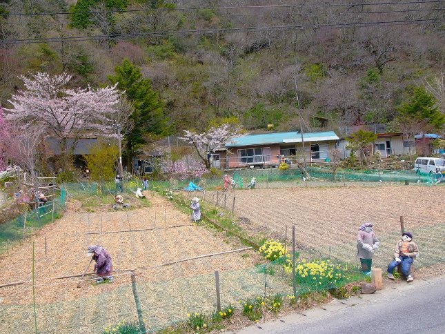 Nagoro 1