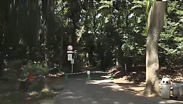 Parque Yoyogi entrada