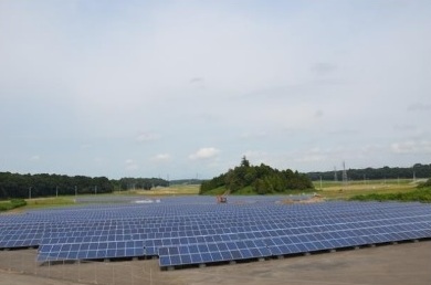 Planta de Tsukuba