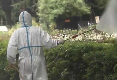 Yoyogi