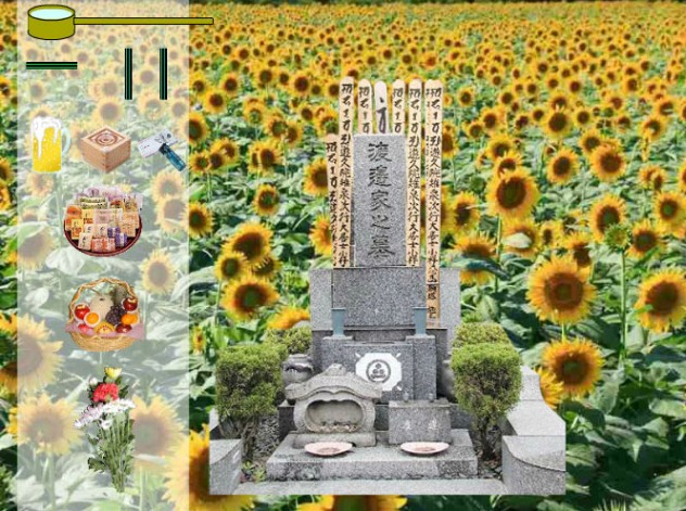 Visita virtual a cementerio (foto I-Can)