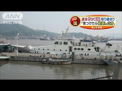 Pescadores chinos detenidos