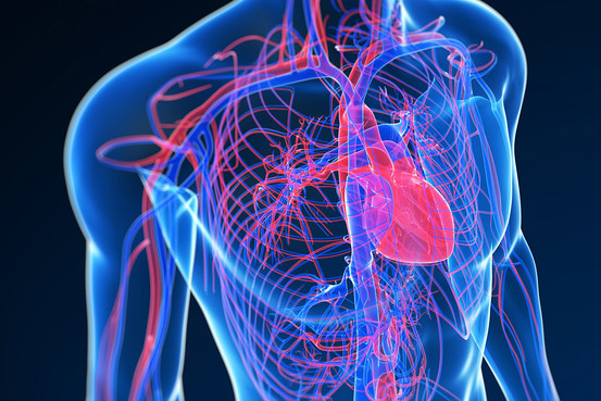 Prevencion de ataque cardiaco