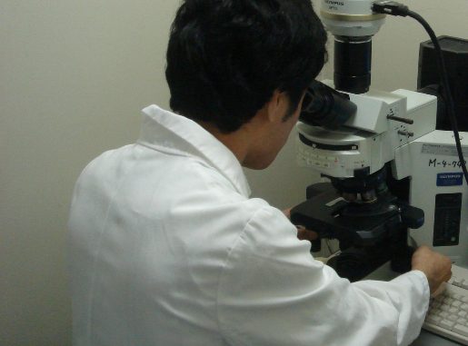 Universidad Okayama