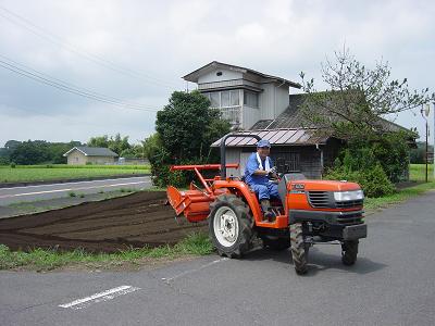 Japón