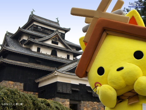 Shimanekko (foto kankou-shimane.com)