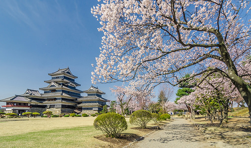 Japón