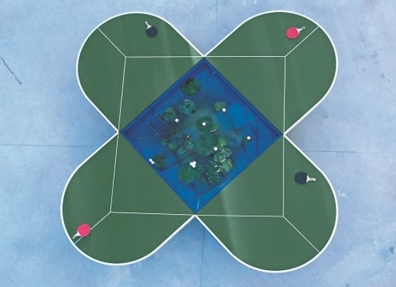 Ping Pond