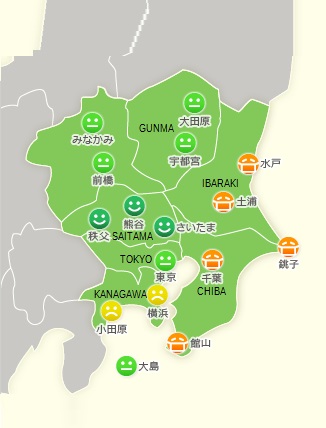 Concentración de polén en la región de Kanto hoy 25 de febrero. (Imagen Kayumi Navi)