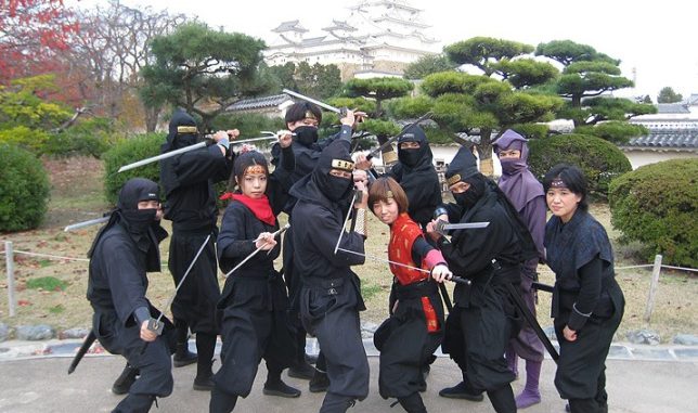 Ninja